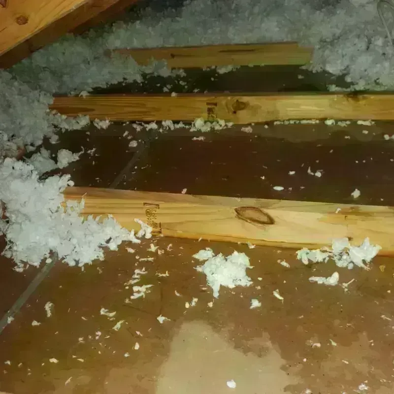 Attic Water Damage in Ehrenberg, AZ