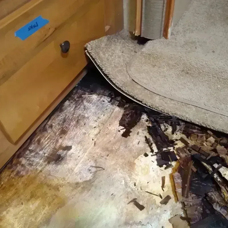 Wood Floor Water Damage in Ehrenberg, AZ